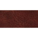 Kalendarz książkowy (terminarz) Terminarz A4 200mm x 290mm Beskidy (C2)