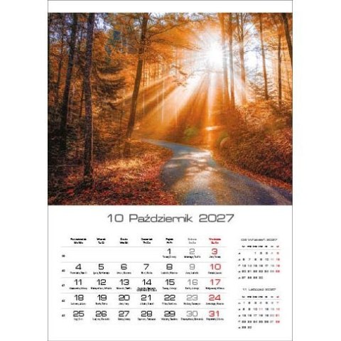 Kalendarz ścienny 4 PORY ROKU 13 planszowe 315mm x 500mm Jotan (WP 115)