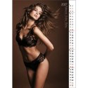 Kalendarz ścienny FAMME 13 planszowe 315mm x 500mm Jotan (WP143)