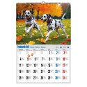 Kalendarz ścienny PIES 12 KART 320mm x 470mm Avanti (A3 VD.12)