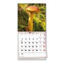 Kalendarz ścienny wieloplanszowy 300mm x 300mm Avanti (5901769621138)
