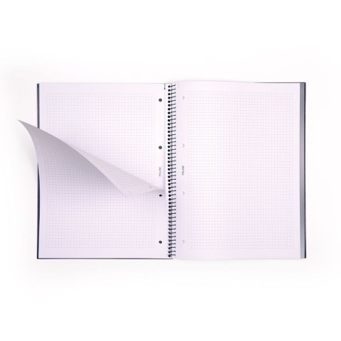 Kołozeszyt (kołonotatnik) A4 1918 beżowy 80k. 95g kratka Milan (57143E80BG)