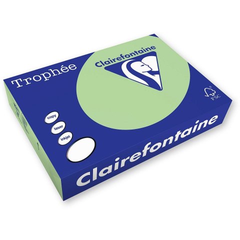 Papier kolorowy A4 kolorowy zielony 120g Emerson (xca41215)