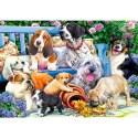 Puzzle Psy w ogrodzie 1000 el. Trefl (10556)