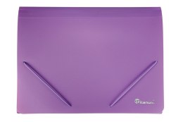 Teczka segregująca PP Titanum A4 z gumką 13 przegródek czarna (TPO12BC)