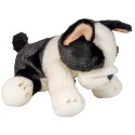 Pluszak pies Boston terrier [mm:] 300 Anek (844404BS)