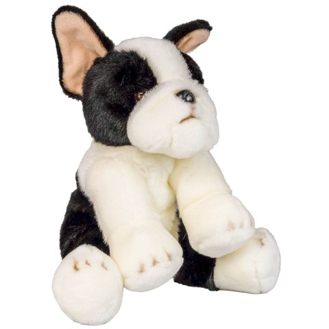 Pluszak pies Boston terrier [mm:] 300 Anek (844404BS)