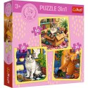 Puzzle Rodzina Treflików Puzzle 3w1 Radosne momenty Trefl (34906)